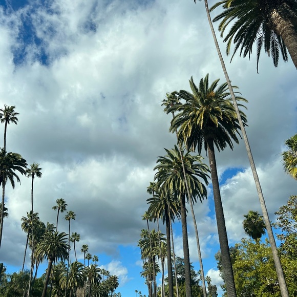 Meet your Posher, Mib - Picture 2 of 2